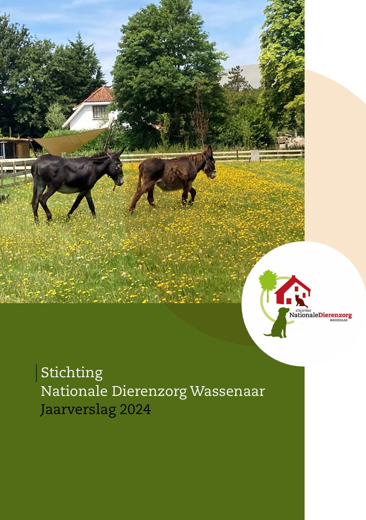 Jaarverslag 2024